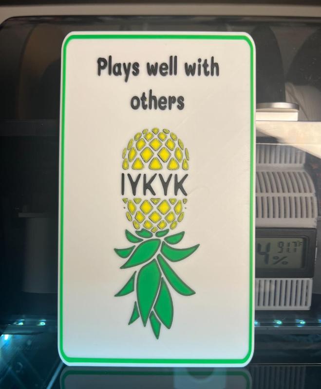 Plays well with others Door/Fridge/Wall Sign 