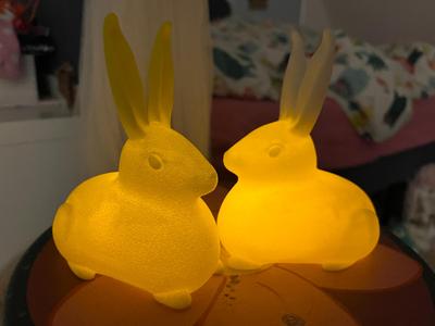 GLOWING BUNNY - WITH LED LIGHT
