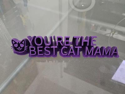 CAT SIGN TREAT