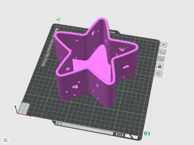 Star Planter for aroids
