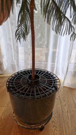 Grid - soil protector for plant pot - scalable