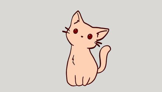 Cute Cat