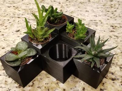 Succulent Planters
