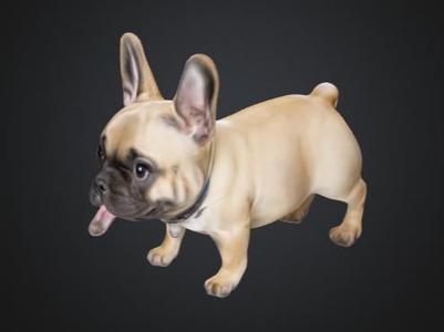Last filament french bulldog