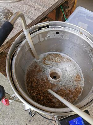 Filter für Überlauf Grainfather G30