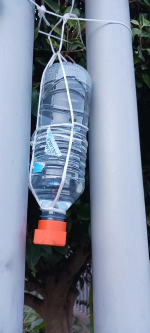 Bebedero pájaro botella