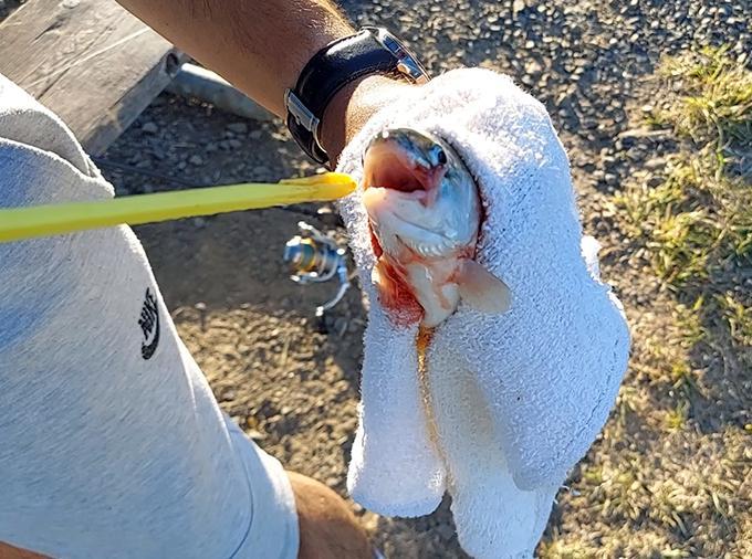 Fishing Hook Remover