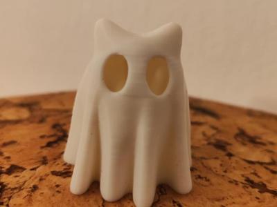 Smaller Ghost Cat 