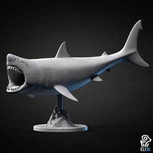 Great White Shark Attacking - Animal