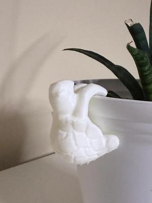 Hanging Turtle Planter Buddy   