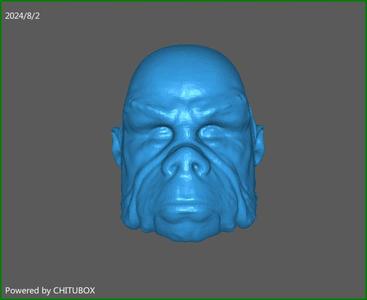 Kuiil Mandalorian Black Series Style Head