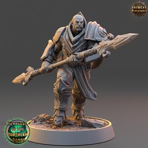 Sverker Icebrand - Templars of the Northern Lights