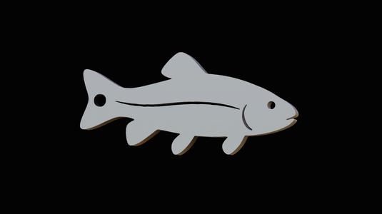 common tench / tinca tinca keychain / pendant 2d