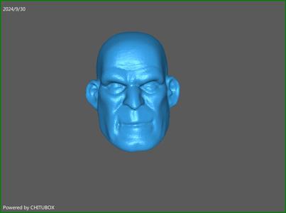 Metamorpho DCU Style Head