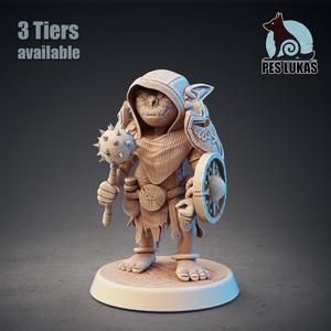 Goblin Cleric