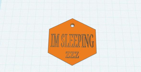 I'm Sleeping (Do Not Disturb) Sign/Plate (3D x Trey)   