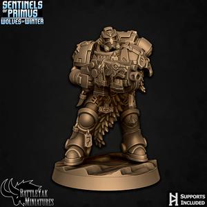 Knight-Sentinel Vigilant B