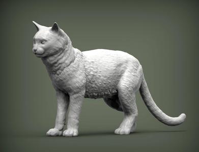 Cat for 3d printing 3D