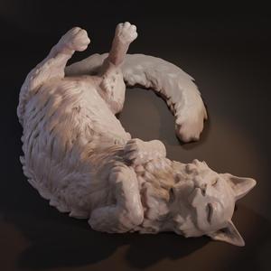 Cat sleeping on back