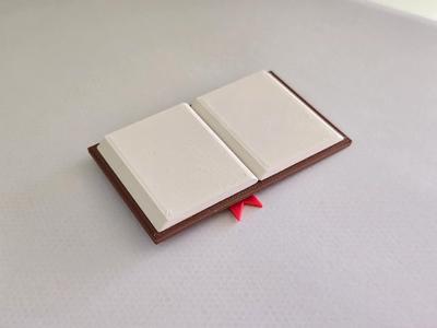 Mini Book Clothing Clip   