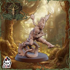 Elf  Bladedancer #02 - Wood Elf - Fantasy Football