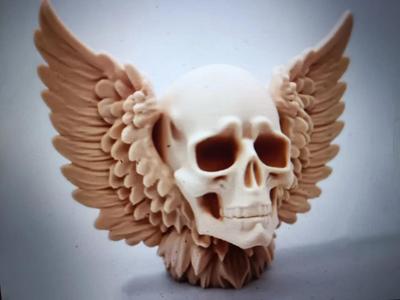 skull wiht  wings   
