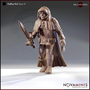 Halfling Male Rogue 01