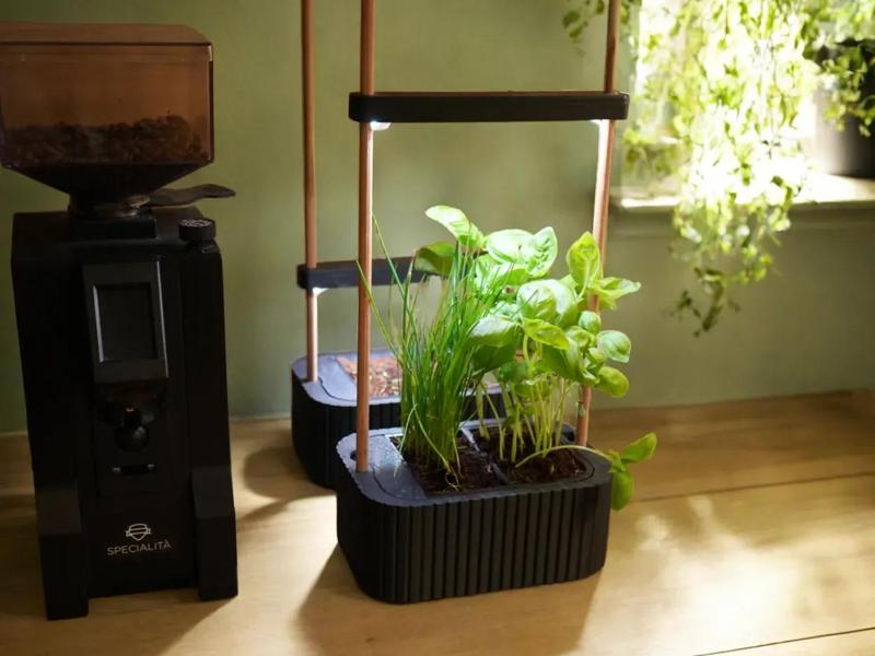 Smart Indoor Mini Herb Garden with LED Lighting – Stylish & Functional   