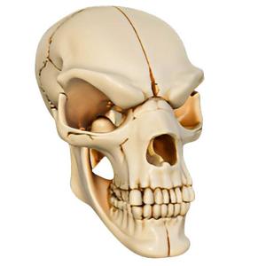 Extraterrestrial Crag Skull