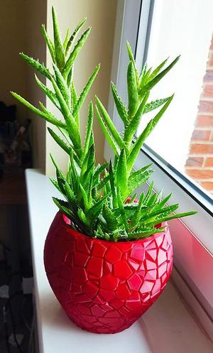 mosaic flower pot