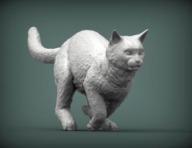 running cat 3D print model