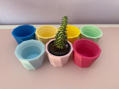Cactus flower pot - small size v2