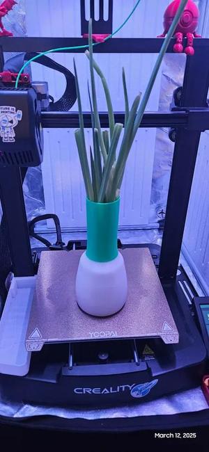 Green Onion Vase (resizable)   