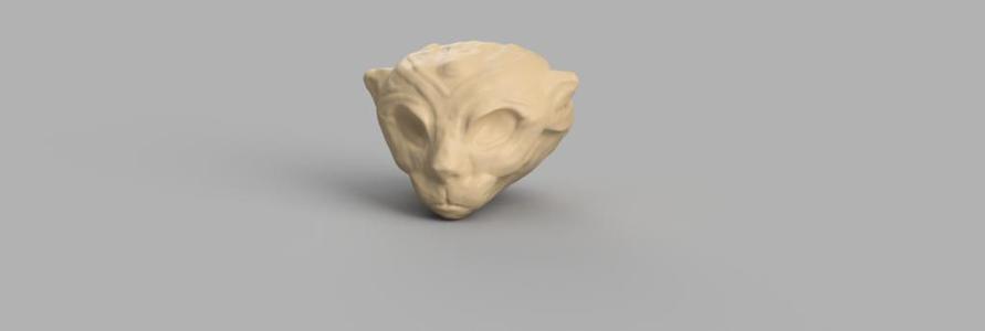Anthropomorphic Sphinx Cat