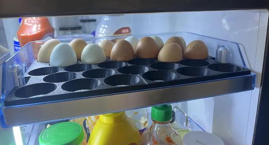 Samsung Fridge Door Egg Tray   