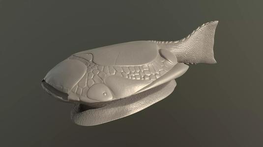 Drepanaspis fish