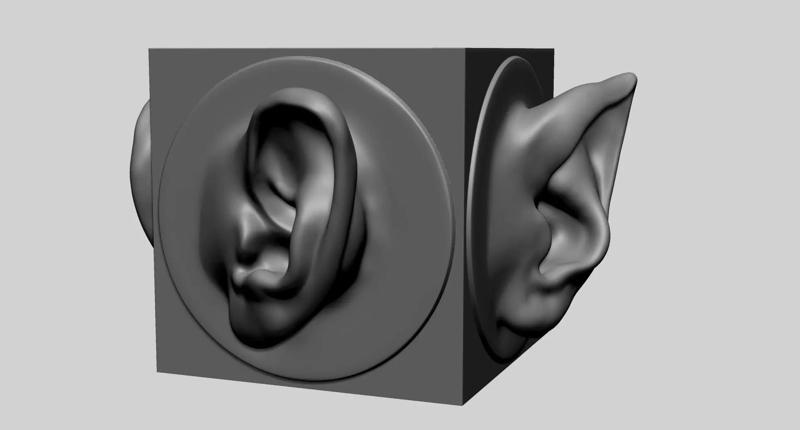 Ear models for 3DPrint