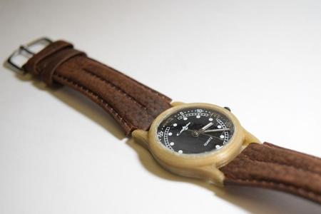 Wrist Watch Casing