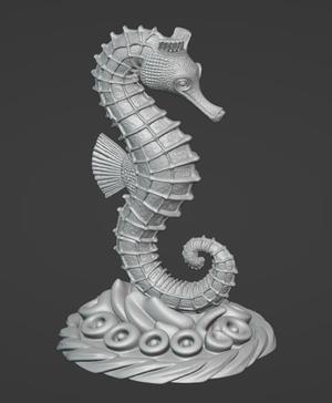 Seahorse_1