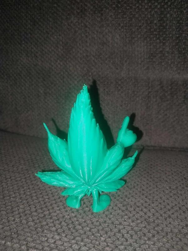 Larry The Leaf, 420 friendly