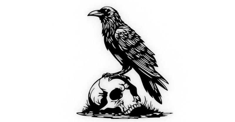 crow skeleton