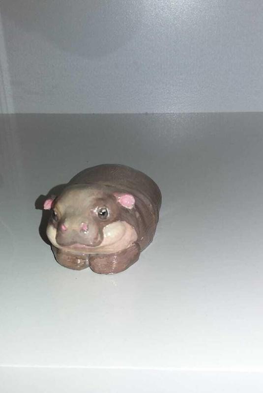 Moo Deng baby hippo