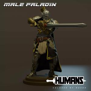 Human Paladin