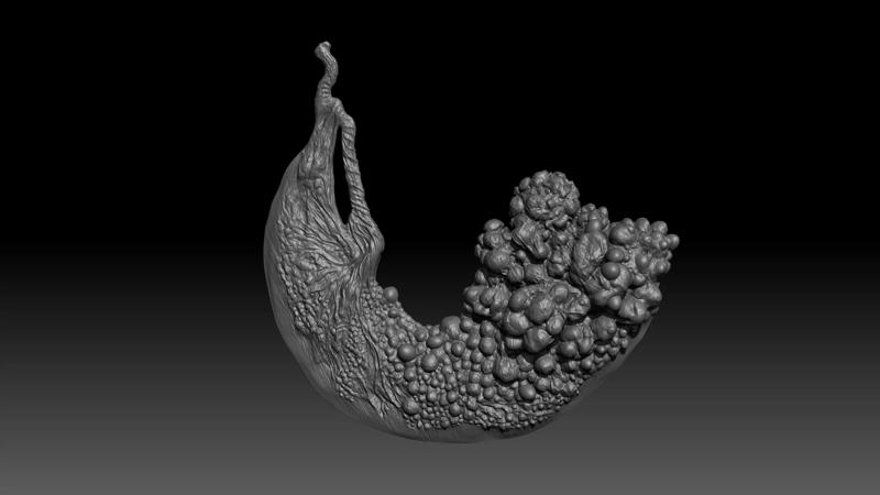 Orphan of Kos placenta - Bloodborne The Old Hunters weapon