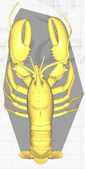 3D model of shrimp and lobster