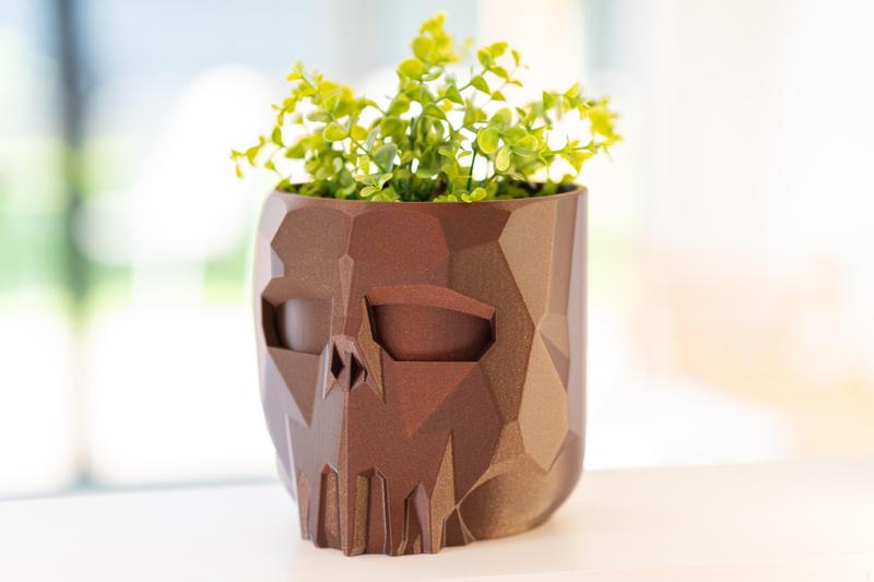 🌸 Modern Wall-Mounted Vase