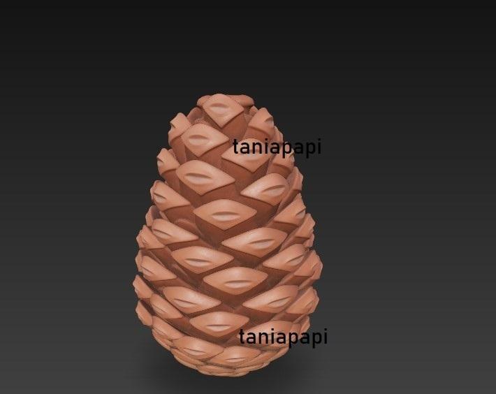 Pine cone