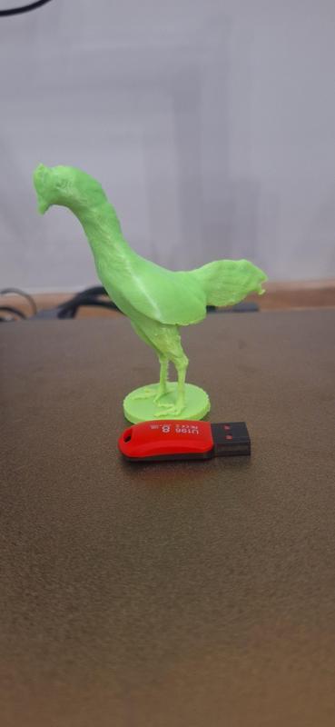 ART  ANIMALS & CREATURES ROOSTER GAMEFOUL GAME CHICKEN ASIL