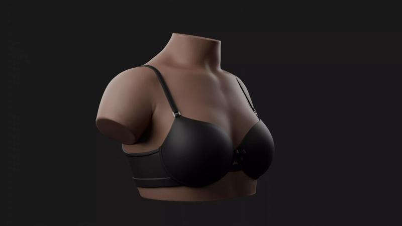 Small Female Bust 3D Model