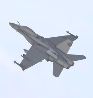 McDonnell Douglas F-18 Hornet.